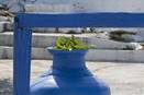 Hotel Selenunda Skopelos Island Greece